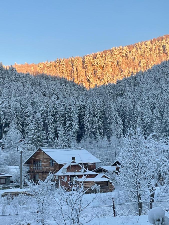 Panska Hata Iaremcea Exterior foto