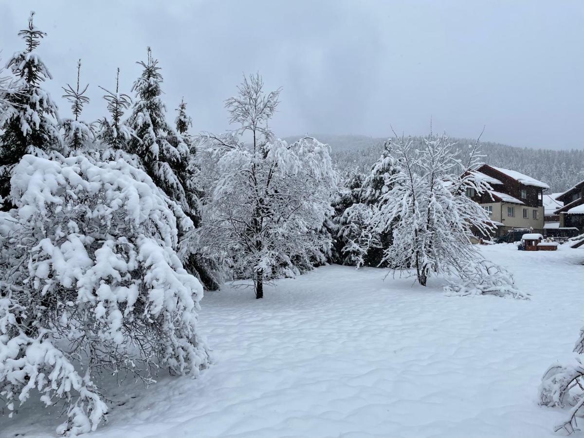 Panska Hata Iaremcea Exterior foto